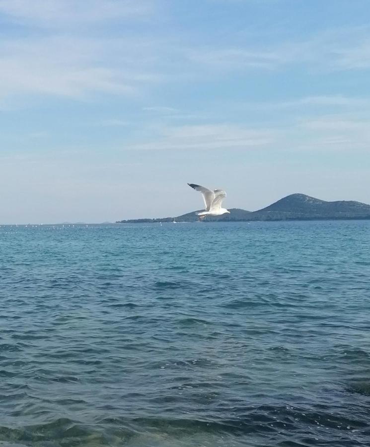 Peponi Del Mar II Hotel Biograd Na Moru Eksteriør billede