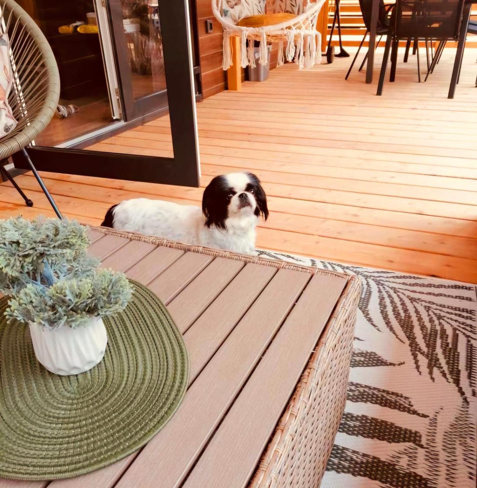 Peponi Del Mar II Hotel Biograd Na Moru Eksteriør billede